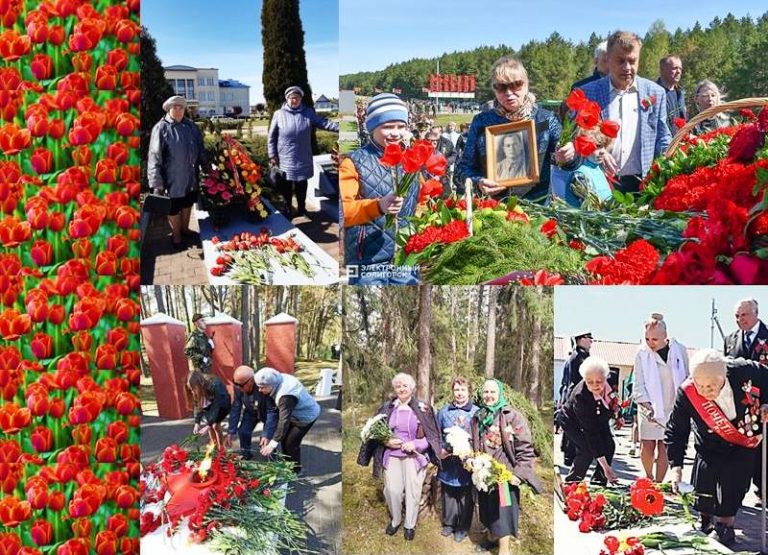 Подробнее о статье «Цветы Победы»