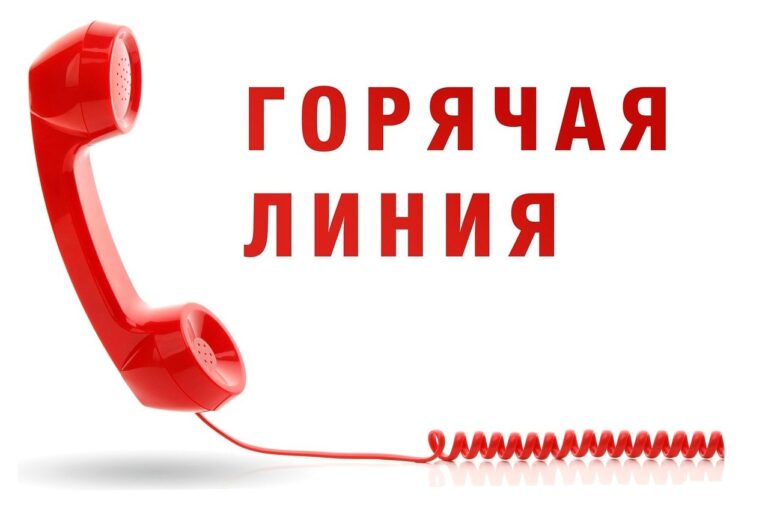 Подробнее о статье Горячая телефонная линия