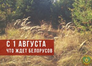 Подробнее о статье Что изменится для белорусов в августе