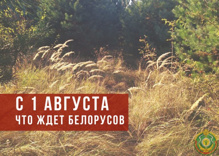 Подробнее о статье Что изменится для белорусов в августе